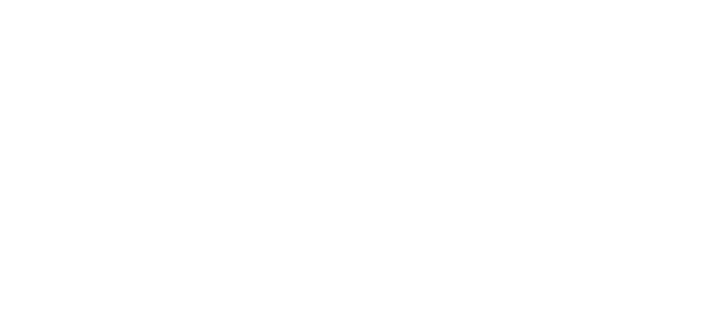 Finish Line Boats Logo