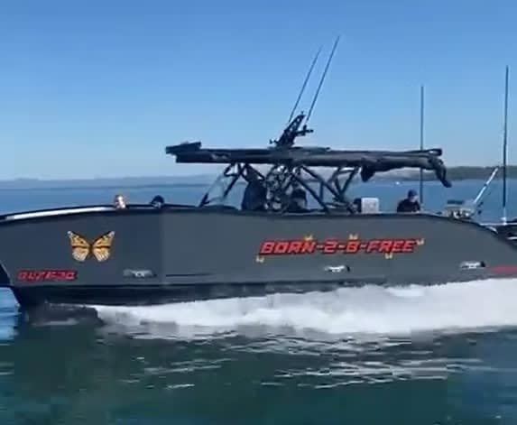 36ft / 11m 'Sports Cat' Open & Enclosed