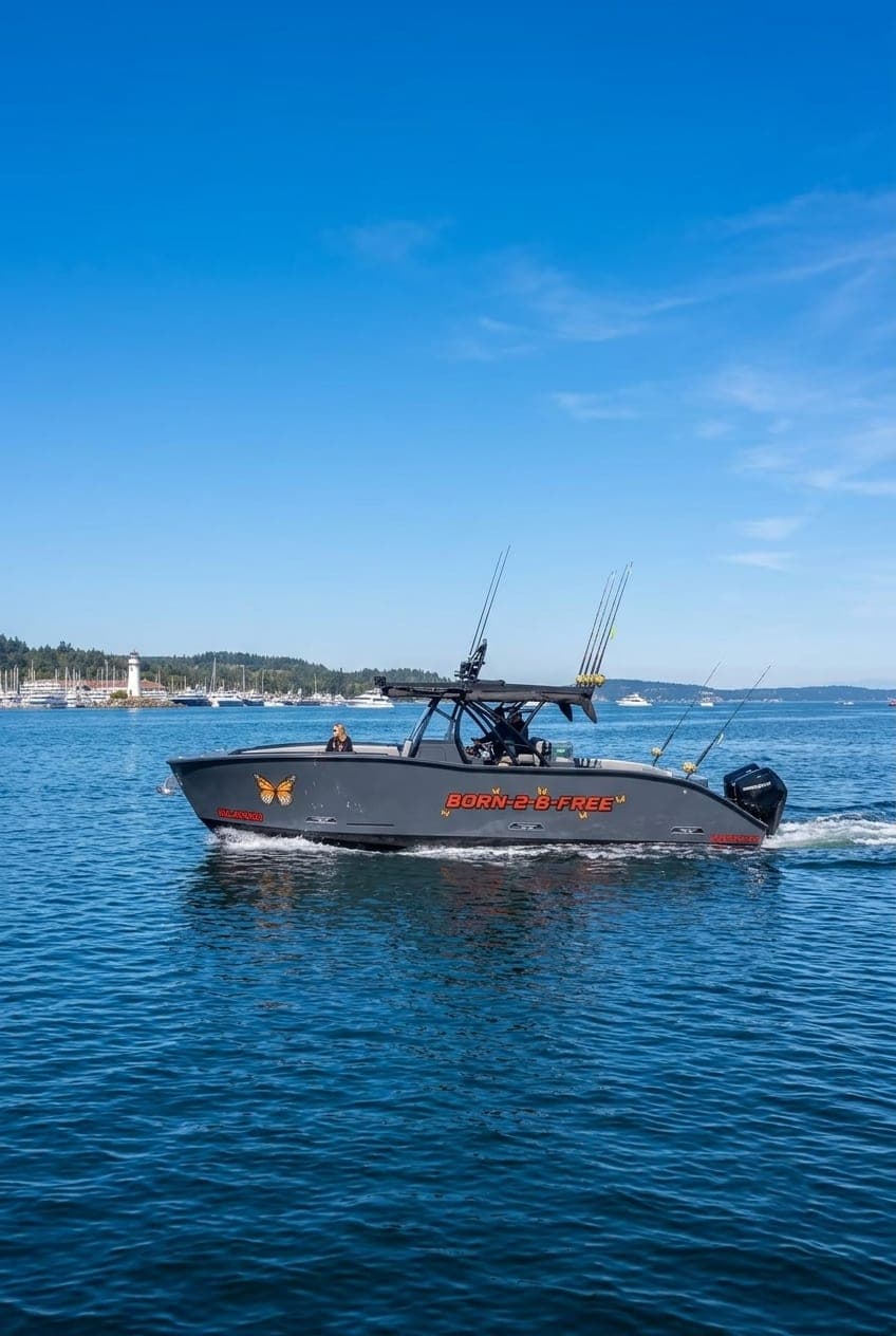 36ft / 11m 'Sports Cat' Open & Enclosed